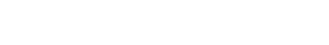 nextsilicon